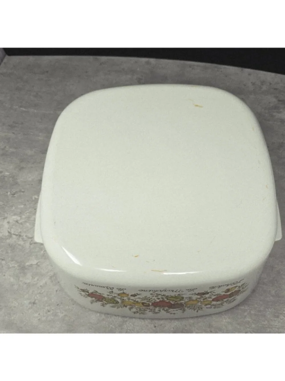 Big Bertha Corelle Spice Of Life 5 quart Baker *Great Vibrant Graphic (No DWD)